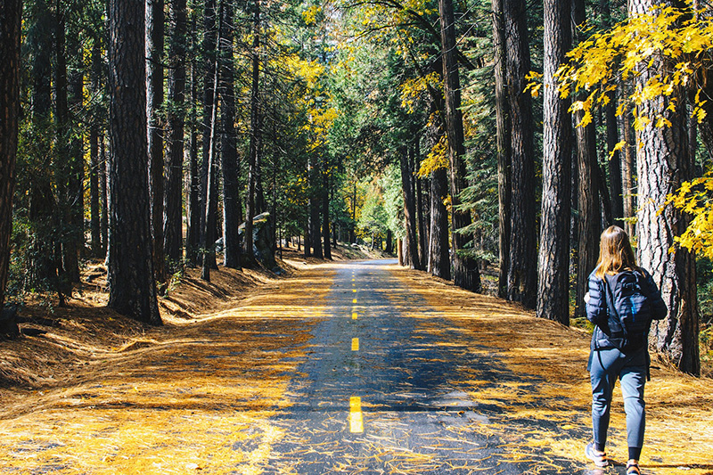 Woman walking on forest road