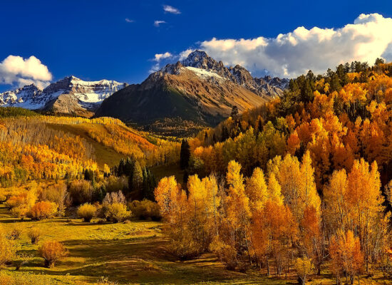 Magic of Fall