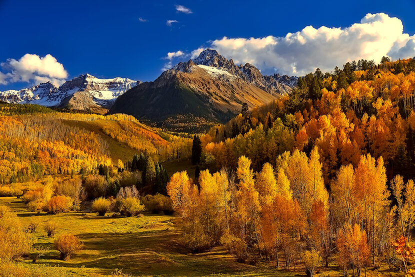 Magic of Fall