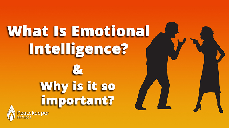 What Is Emotional Intelligence